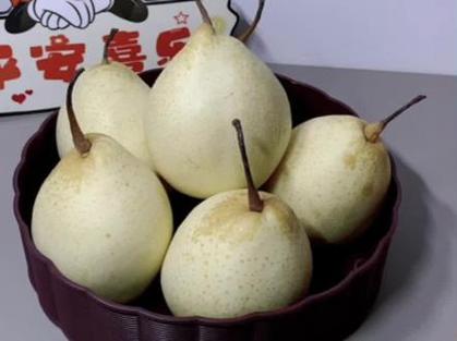 鸭梨爱吃喝游戏截图