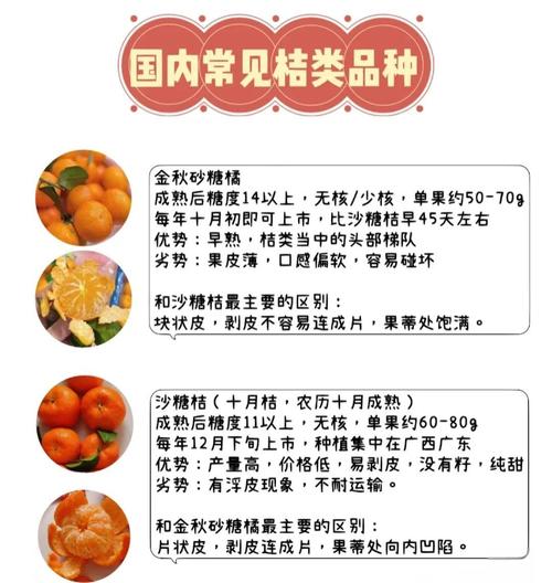 桔子二错二的正确装法