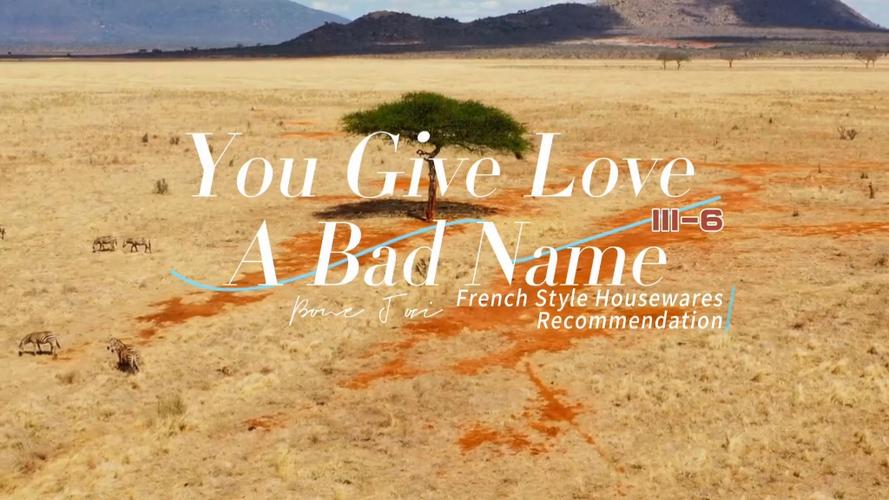 You Give Love A Bad Name