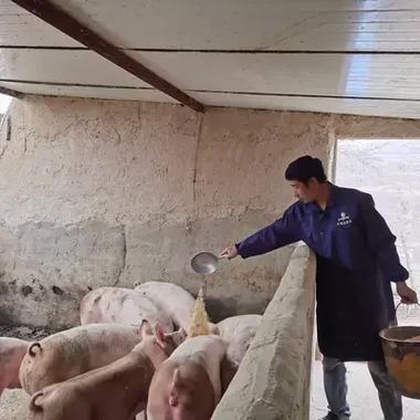 农村个人养猪禁养范围