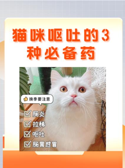 猫咪吐白色泡沫吃什么药截图