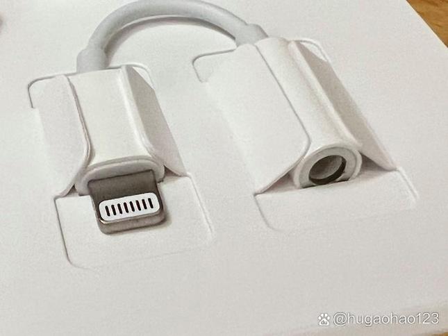 耳机插口转换器