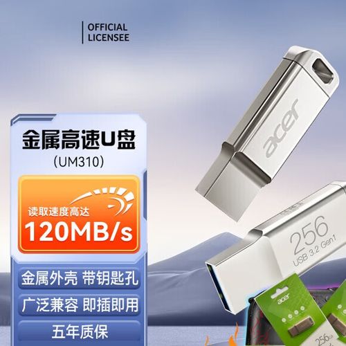 电脑优盘截图