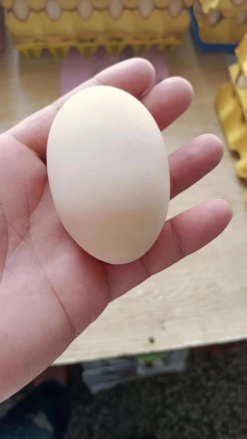 一天2个鸡蛋吃了三年