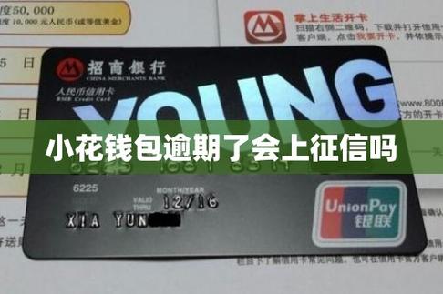 小花钱包上央行征信吗