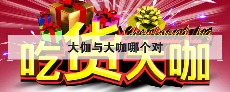 厉害的人叫大咖还是大伽