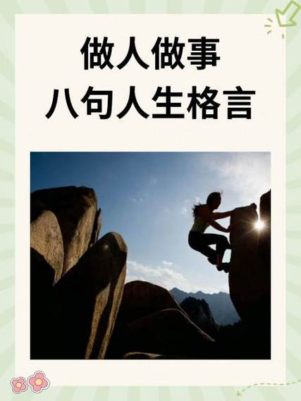 绝品人生徐曼全文阅读