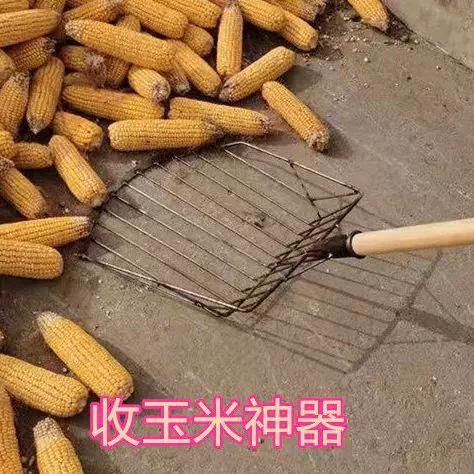 装玉米棒子神器