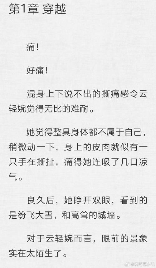 极品销魂苏轻雪全文免费阅读