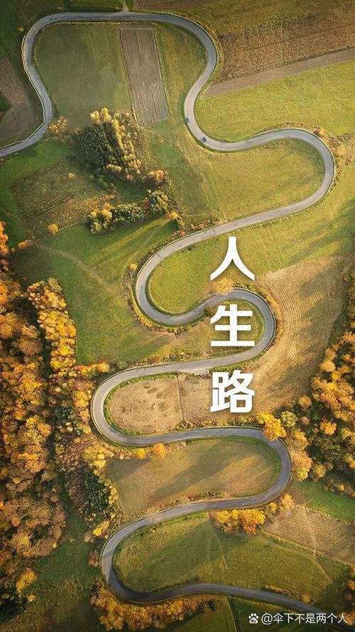 领我走人生的路图标
