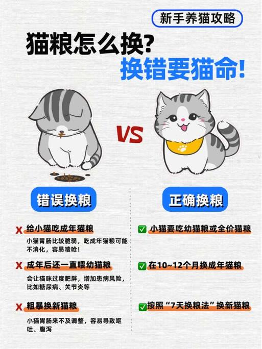 猫猫换猫粮的反应