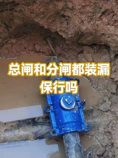 总闸关了分闸没关安全吗