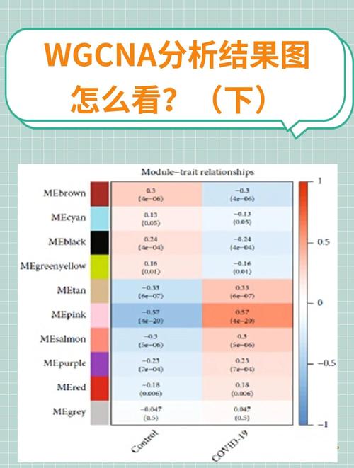 tzukook分析