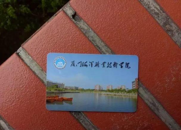 校园卡在寝室丢了怎么找截图