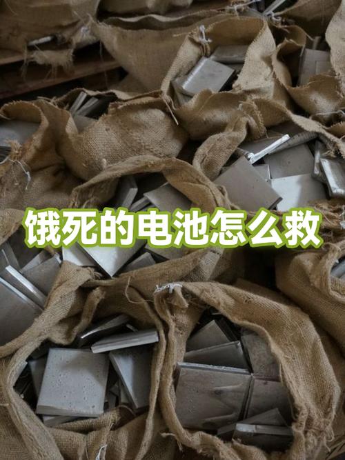 电瓶亏电饿死了咋办