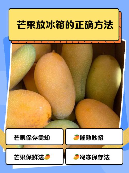 芒果能放冰箱保鲜吗