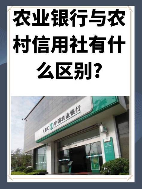 农村信用社解除密码缩略图