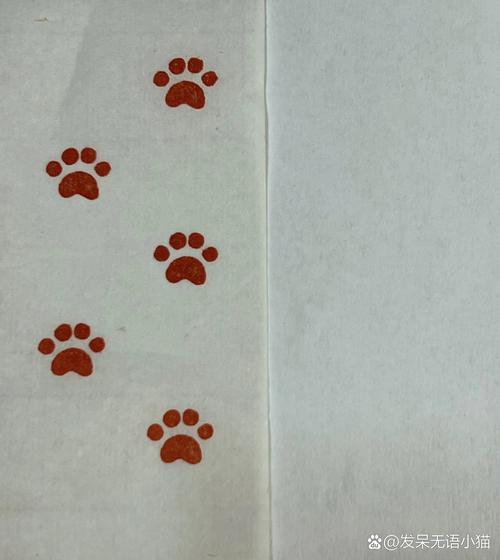 ౪ᩚ゜猫爪符号截图