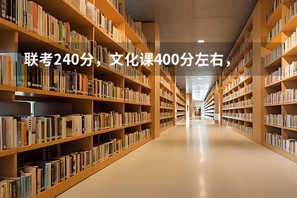 美术240分,文化400分能上什么大学截图