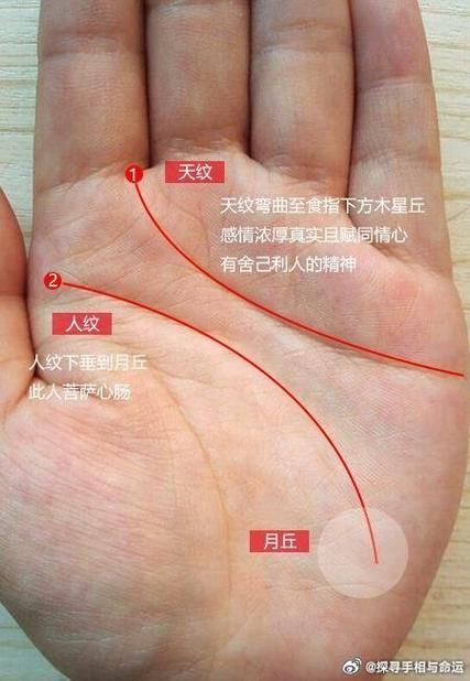 手相感情线是哪一条