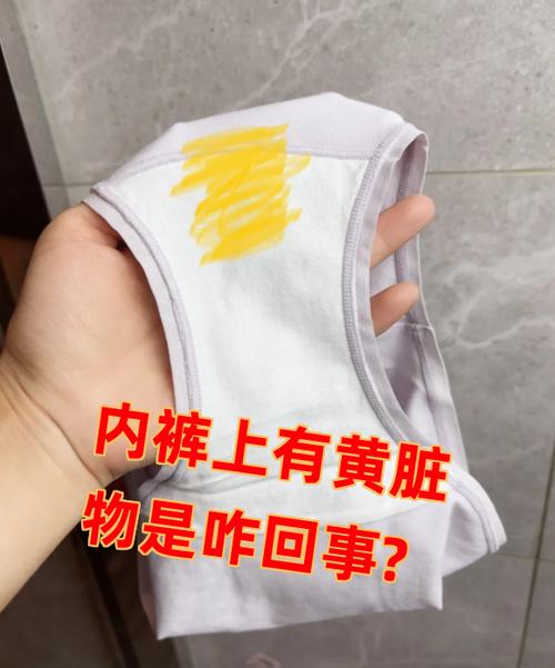 尿液黄内裤上有黄渍