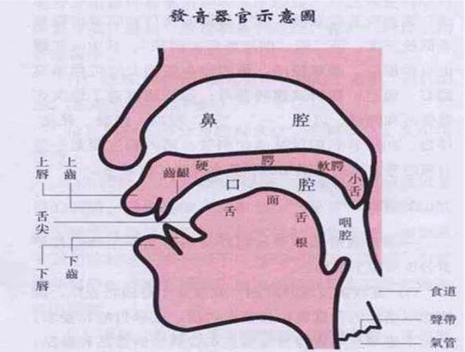 小孩说话吐字不清楚是什么原因截图