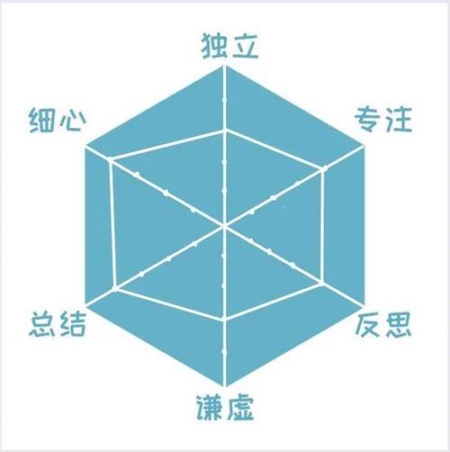 六边形战士的隐晦意思