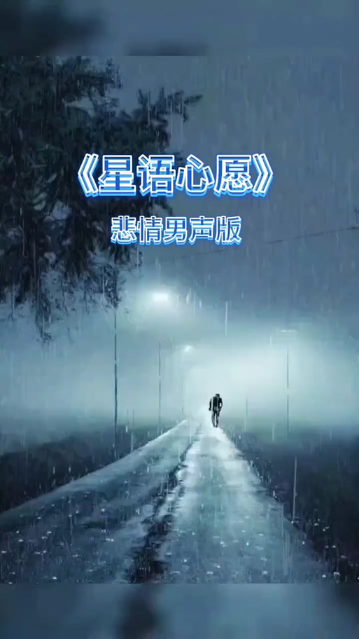 最好听的男声版星语心愿