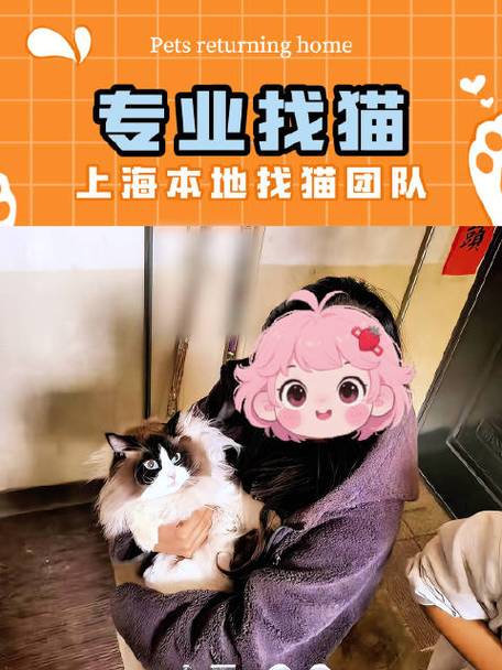 专业找猫团队怎么找的游戏截图