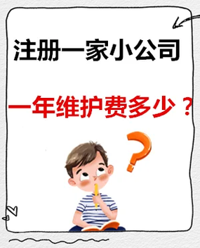 注册小公司一年费用