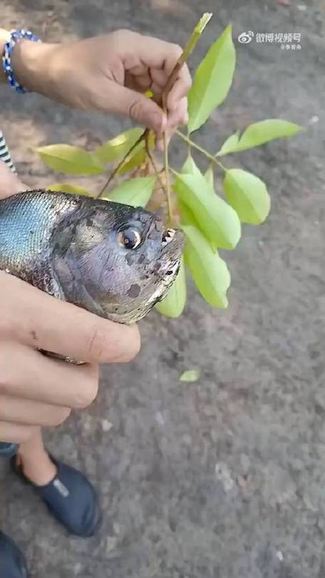 抽烟只抽一口危害大吗