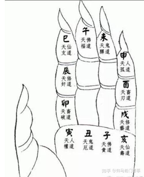 奇门遁甲免费教程