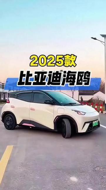 小海鸥电动车价格及图片缩略图