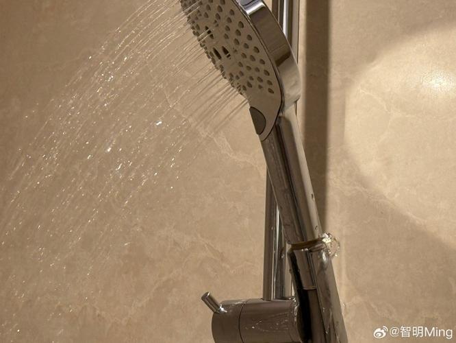 洗澡水龙头漏水缩略图