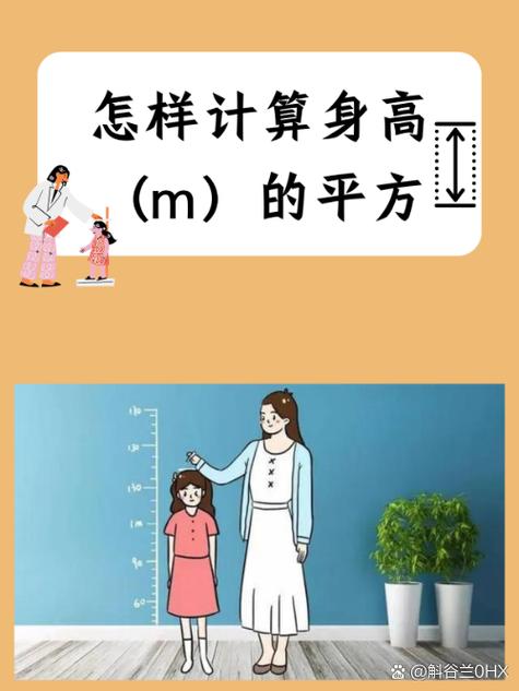 体重除以身高的平方怎么计算