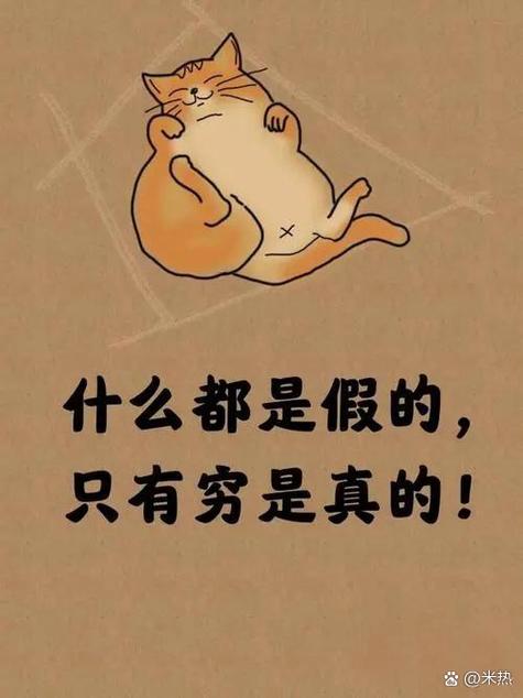 看上去如此有趣
