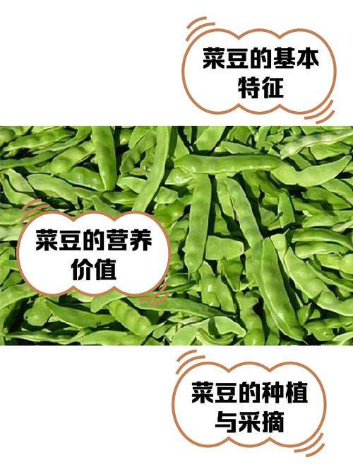 哪种豆腐最嫩