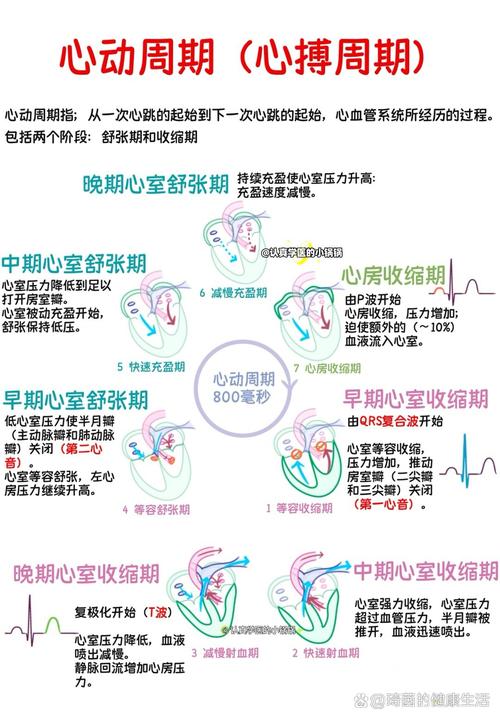 心心鉴别要多长时间