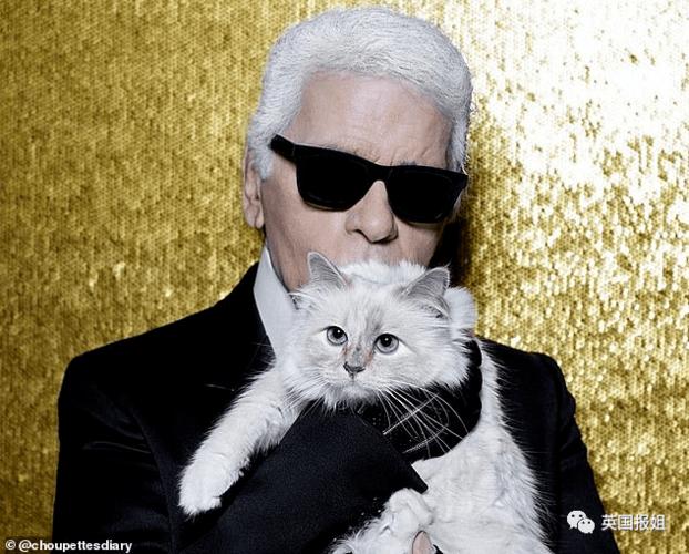 猫咪不听话可以关小黑屋吗