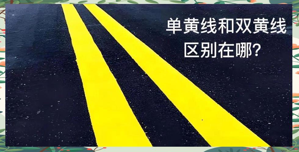 黄线代表什么
