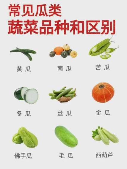 各种瓜的种类图片缩略图