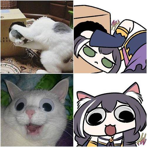 我的世界丝袜猫娘图片图标