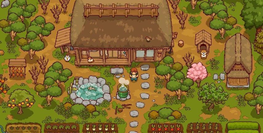 田舍生活桃子移植游戏特色截图