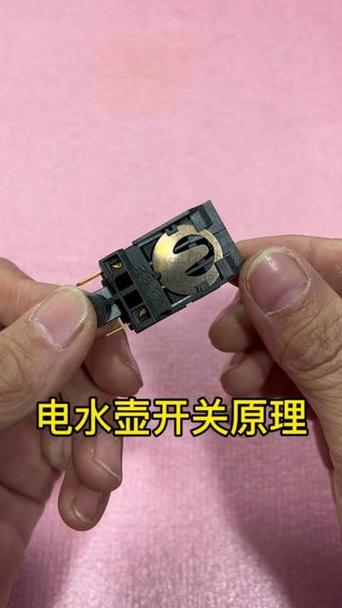 烧水壶开关按下去弹不上来了游戏截图