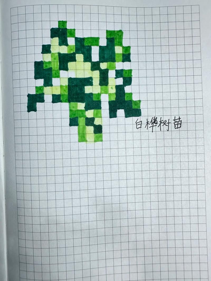 我的世界填充白桦木缩略图