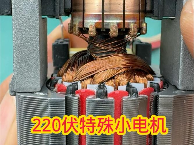 220∨小电机