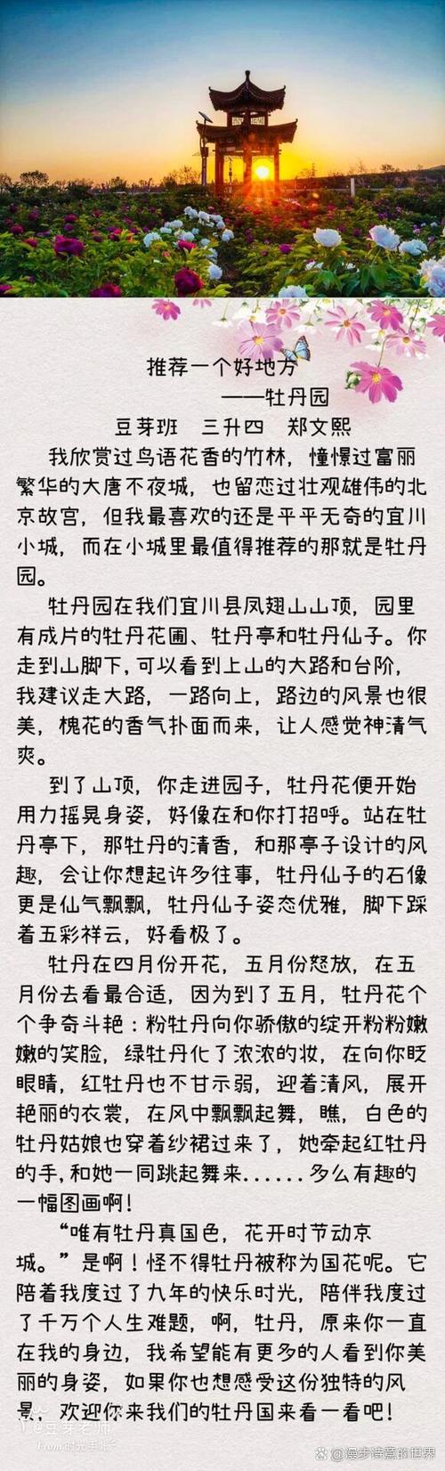 美丽的牡丹园作文500