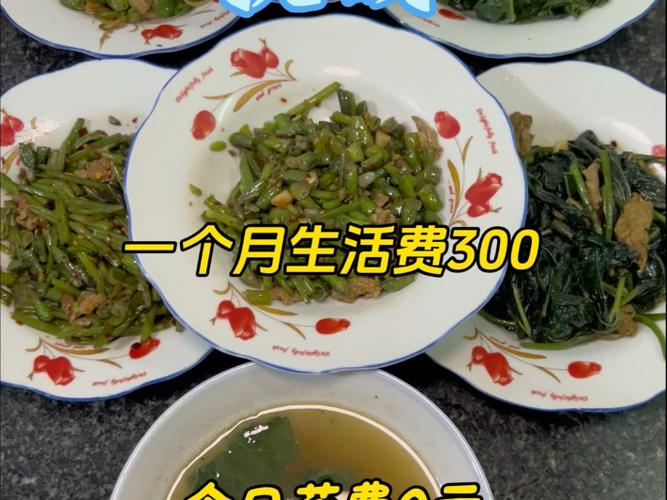 自己做饭一个月300元够吗