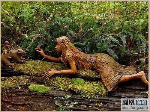 人与自然奇异的自然