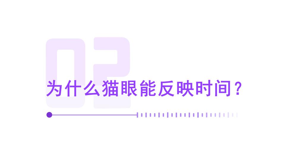 猫眼提现一般几天到截图